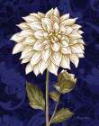 Damask Dahlia Art Print