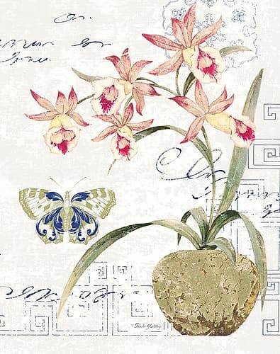 Orchid II Watercolor Print