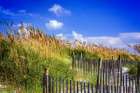 Summer at the Beach I Art Print