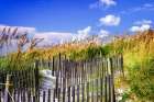 Summer at the Beach II Art Print
