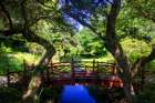 Bridge over Quiet Water Art Print