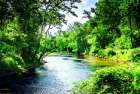 Summer Day on the Neuse River Art Print