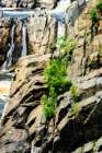 Cascading Water I Art Print