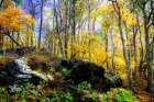 Turning Seasons Art Print