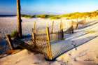 Sand and Sunshine Art Print