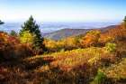 Skyline Drive 6 Art Print