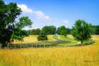 Farming Fields Art Print
