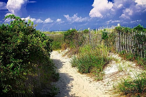 Sandy Walkway Coastal Print