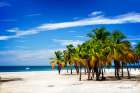 Palms on the Beach IV Art Print