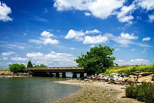 Bridge to Tomorrow Landscape Print