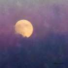 Moonrise Art Print