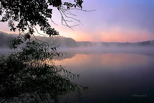 Shelley Lake Fog Landscape Print