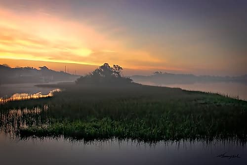 Carrot Island Landscape Print