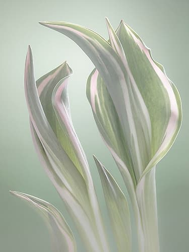 Pale Green Beginning I Nature Print