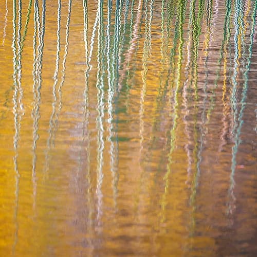 Fall Reflections III Art Print