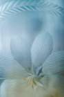 Single Flower Art Print