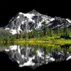 Shuksan Reflections Art Print