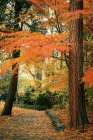 Fall Colors I Art Print