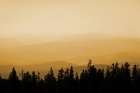 Shasta Silence I Art Print