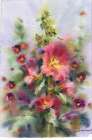 Beautiful flowers of mallow Art Print