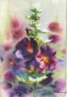 Beautiful flowers of mallow Art Print