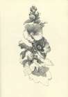 Beautiful flowers 4 Art Print
