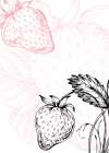 Abstract floral Strawberry Art Print
