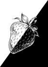 Berry in space Art Print