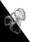 Abstract berry form Art Print