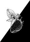 Lonely berry Minimalist Print