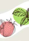 Strawberry Art Print