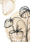 Strawberry Abstract Art Print