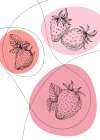 Strawberry Art Print