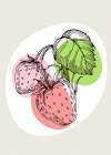 Strawberry Art Print