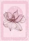 Magnolia flowers minimal art Art Print