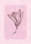 Magnolia flowers minimal art Art Print