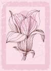 Magnolia flowers minimal art Art Print