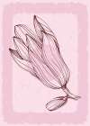 Magnolia flowers minimal art Art Print