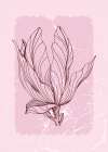 Magnolia flowers minimal art Art Print