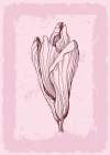 Magnolia flowers minimal art Art Print