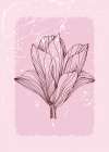 Magnolia flowers minimal art Art Print