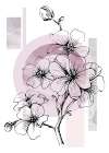 Cherry flower Art Print