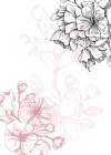 Sakura flowers minimal art Art Print