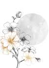Sakura flowers minimal art Art Print