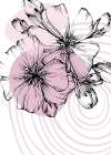 Sakura flowers minimal art Art Print