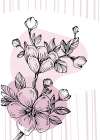 Sakura flowers minimal art Art Print
