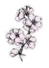 Sakura flowers minimal art Art Print