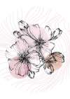 Sakura flowers minimal art Art Print