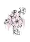 Sakura flowers minimal art Art Print