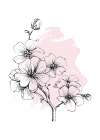 Sakura flowers minimal art Art Print